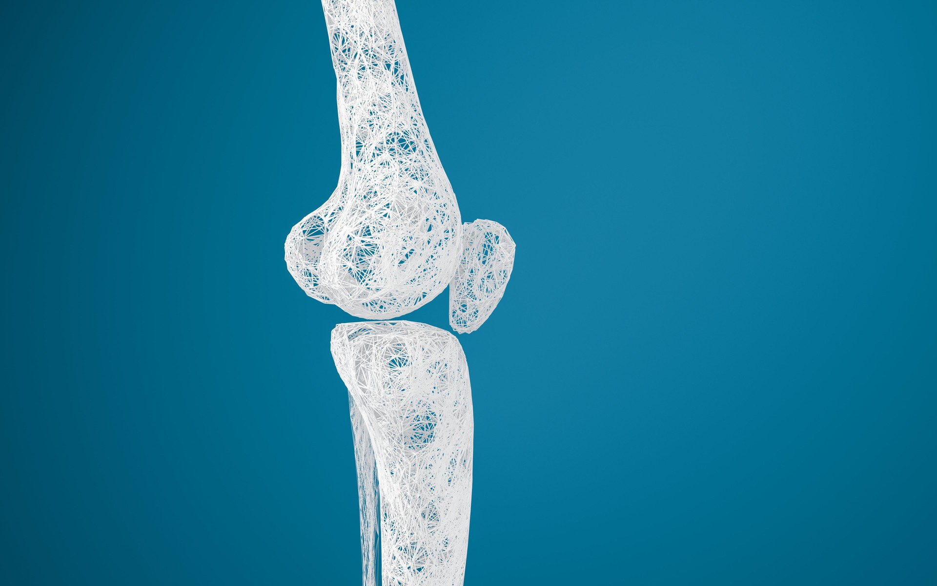 Leg bones and knees, 3d rendering.
