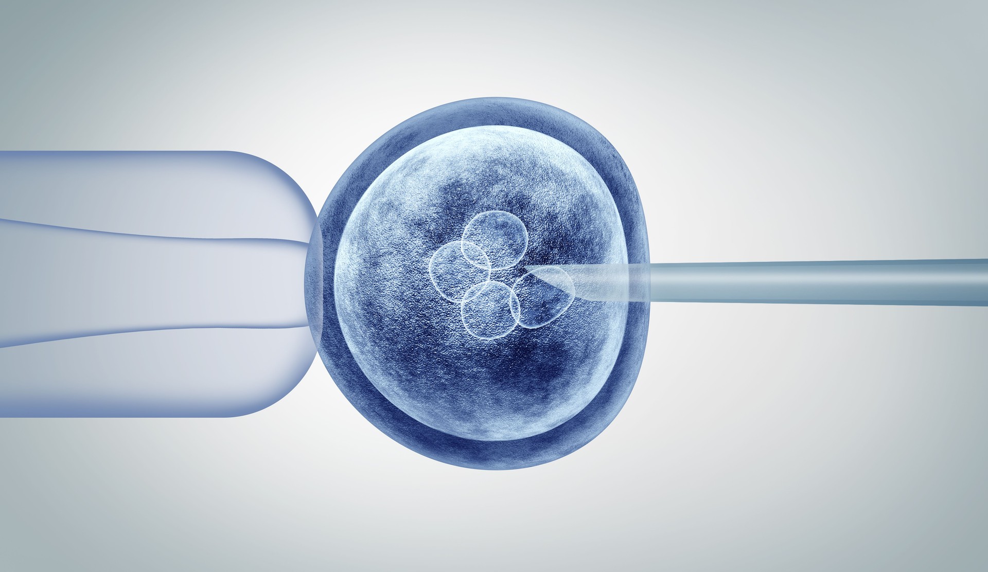 Genetic Editing